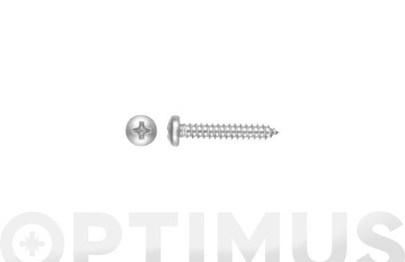 Tornillo rosca chapa, phillips H, DIN 7981, zincado, 2,9 x 9,5 mm