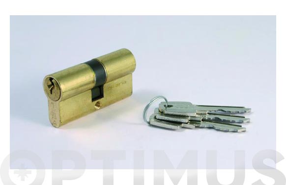 Cilindro TE5, llave serreta, latón, leva 15 mm, 30-30