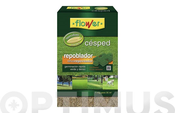 Semillas césped repoblador, 1 kg