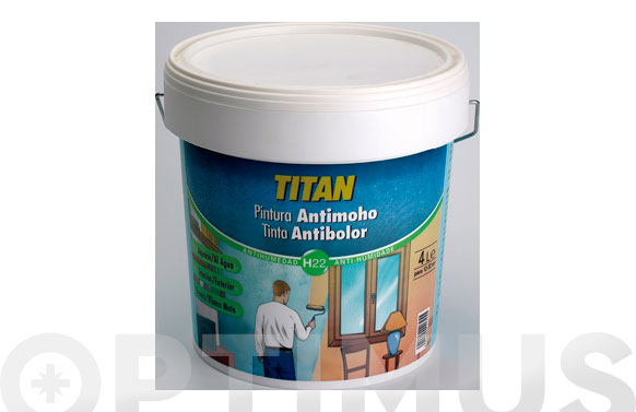 Pintura antimoho, 750 ml