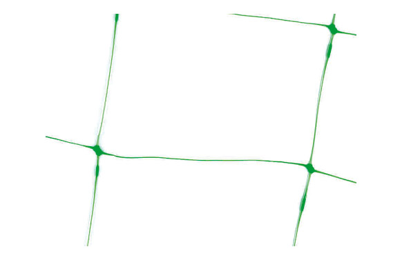 Malla per a aspres Trellinet, verd, 2 x 25 m