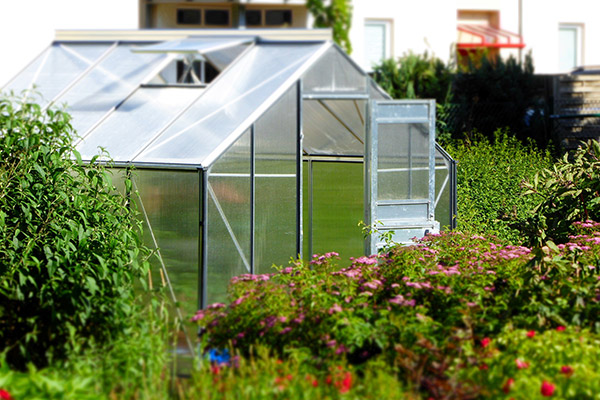 Accessoris per al cultiu del jardí o hort