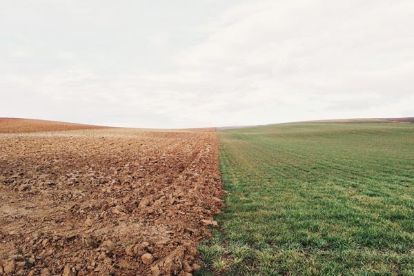 Sustratos, tierras, abonos y fertilizantes 